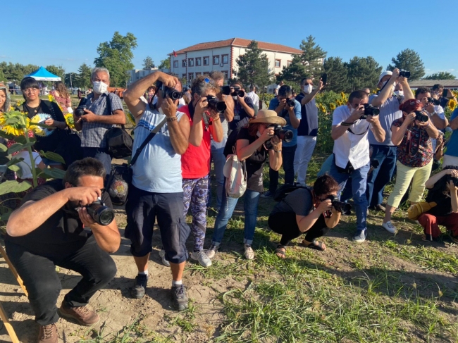 Fotoğraf tutkunları ayçiçeği tarlalarına akın etti